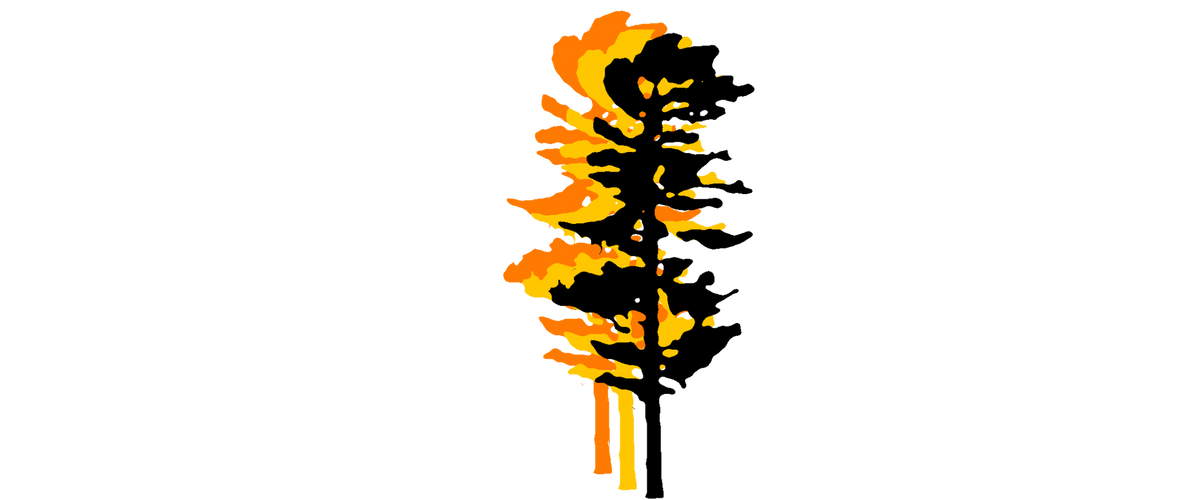 JACK PINE
