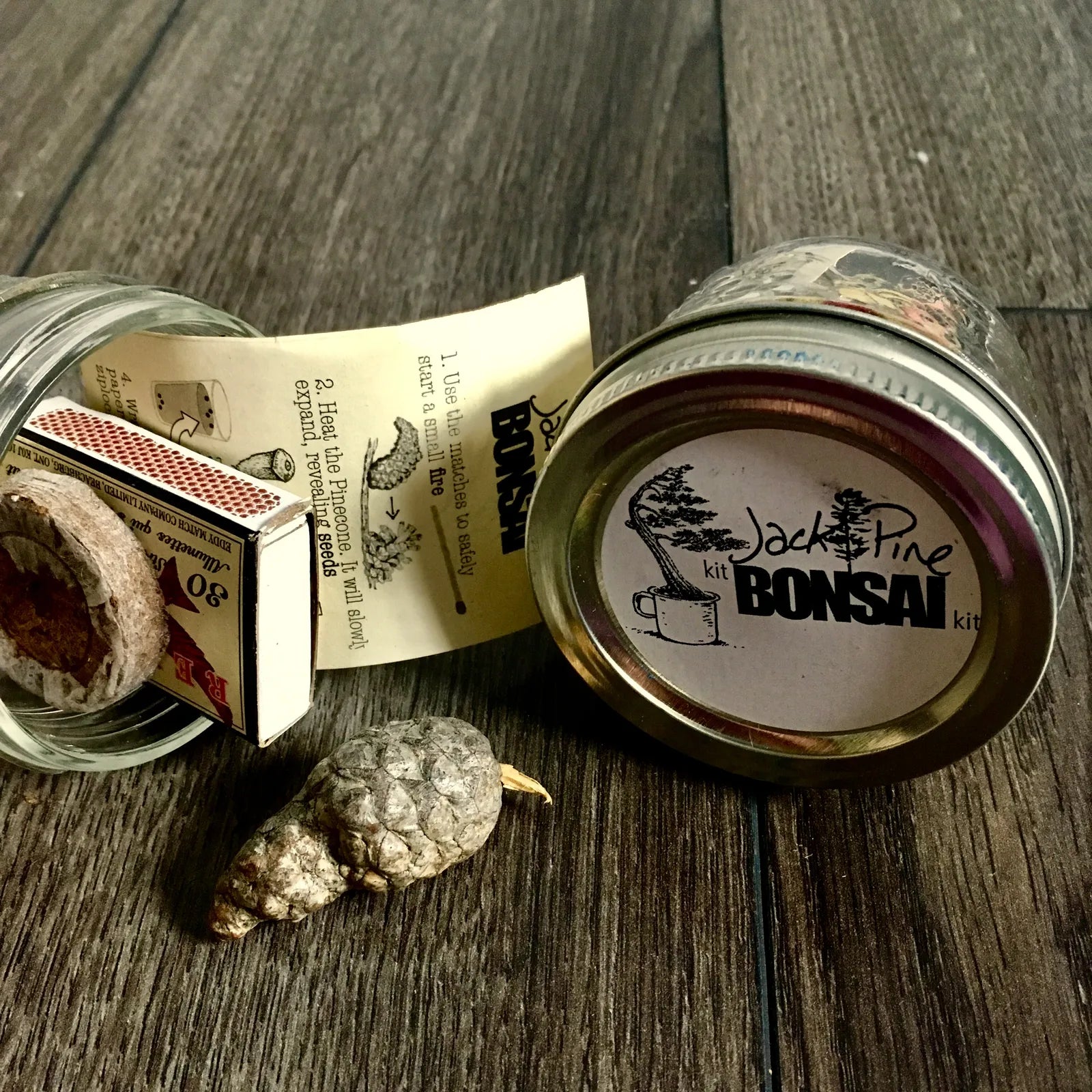 Bonzai Kit